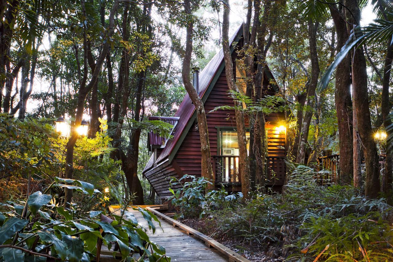 The Mouses House Rainforest Retreat Springbrook Exterior photo